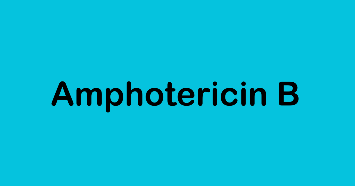 Amphotericin B